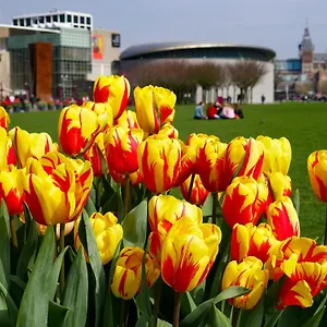 Appartamento De Hallen, Amsterdam